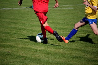 爱游戏官方网站-NBA球员训练计划个性化设计，nba球员训练视频,篮球技术